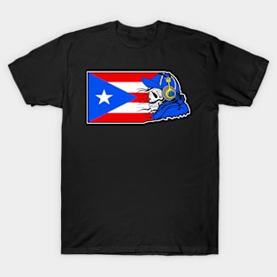 Puerto Rico Flag, Puerto Rican Flag, Puerto Rico T-Shirt